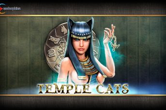 temple cats logo